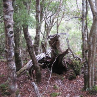 2018-NZ-travel-640