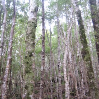 2018-NZ-travel-641