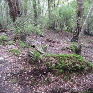 2018-NZ-travel-644