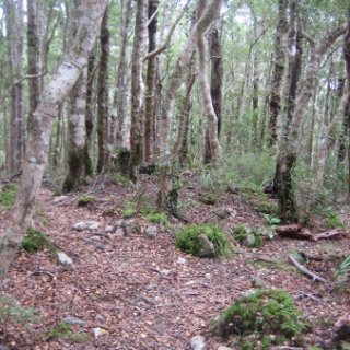 2018-NZ-travel-645