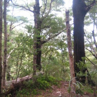 2018-NZ-travel-646