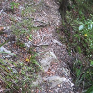 2018-NZ-travel-648
