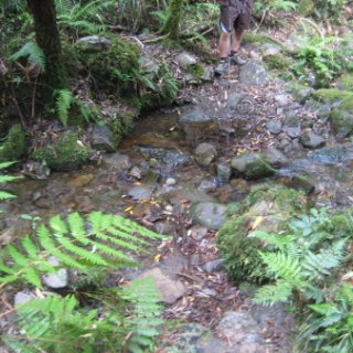 2018-NZ-travel-651