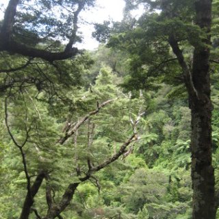 2018-NZ-travel-654
