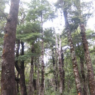 2018-NZ-travel-655