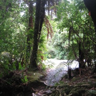 2018-NZ-travel-658