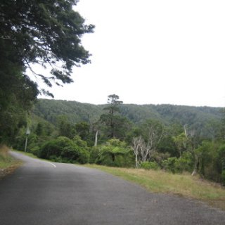 2018-NZ-travel-660