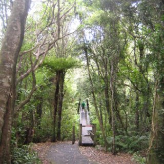 2018-NZ-travel-663