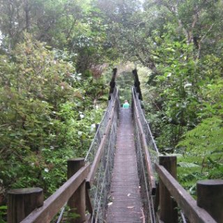 2018-NZ-travel-664