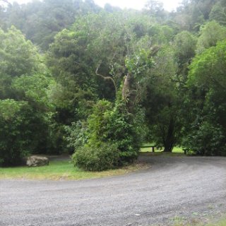 2018-NZ-travel-659