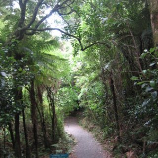 2018-NZ-travel-668