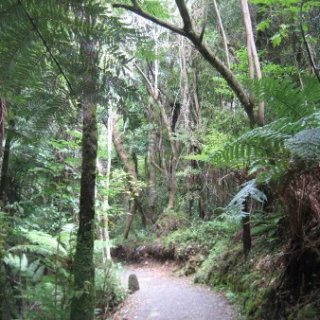 2018-NZ-travel-669