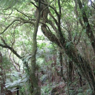 2018-NZ-travel-675