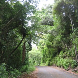 2018-NZ-travel-679