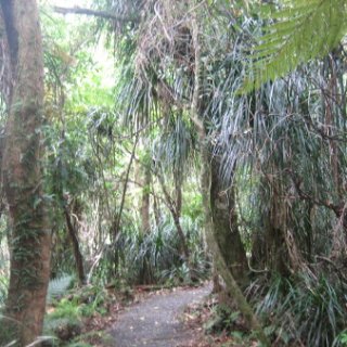 2018-NZ-travel-681