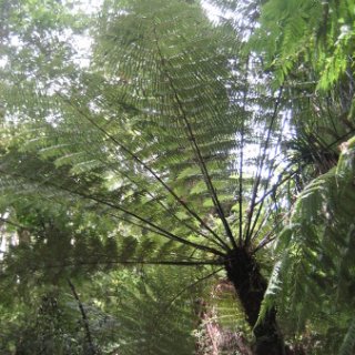2018-NZ-travel-684