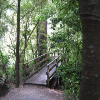 2018-NZ-travel-685