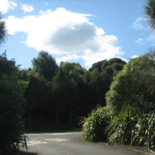 2018-NZ-travel-694