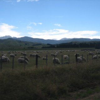 2018-NZ-travel-726
