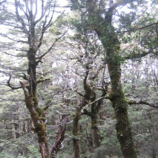 2018-NZ-travel-808