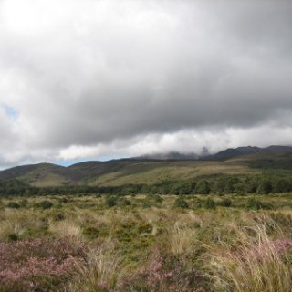 2018-NZ-travel-810