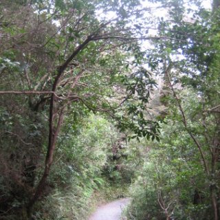 2018-NZ-travel-811