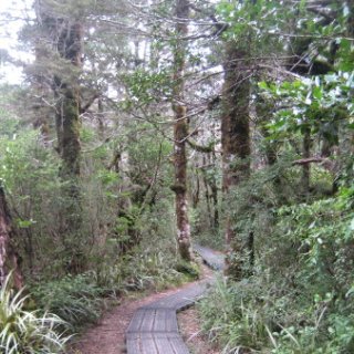 2018-NZ-travel-812