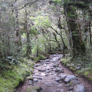 2018-NZ-travel-813