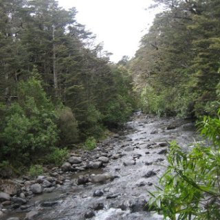 2018-NZ-travel-814