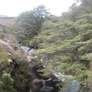 2018-NZ-travel-817