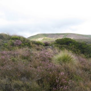 2018-NZ-travel-833