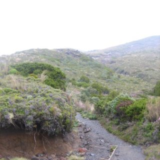2018-NZ-travel-846