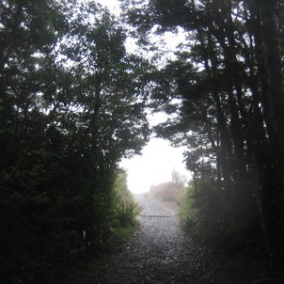 2018-NZ-travel-850