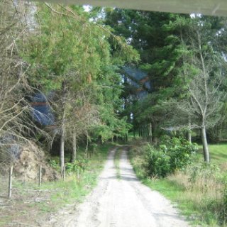 2018-NZ-travel-886