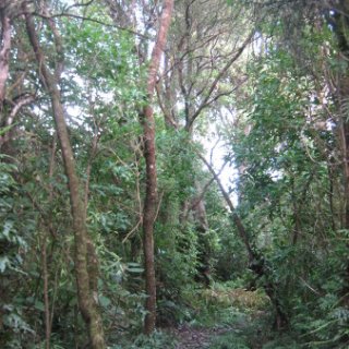 2018-NZ-travel-898