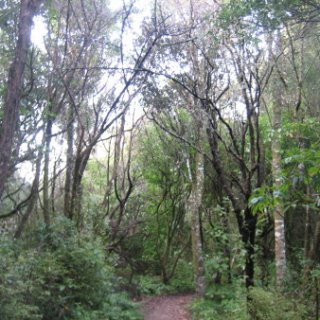 2018-NZ-travel-899
