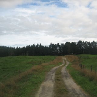 2018-NZ-travel-908