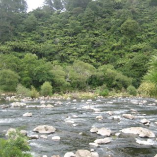 2018-NZ-travel-954
