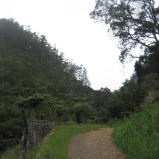 2018-NZ-travel-964