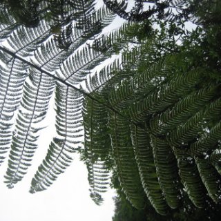 2018-NZ-travel-966