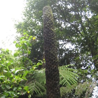 2018-NZ-travel-967