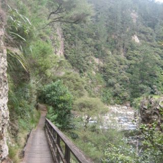 2018-NZ-travel-986