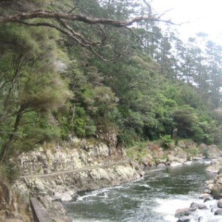 2018-NZ-travel-989