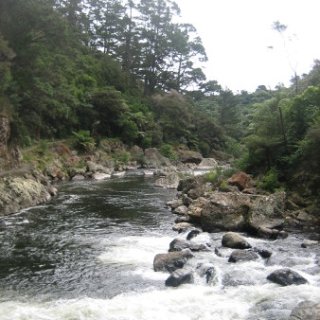 2018-NZ-travel-991