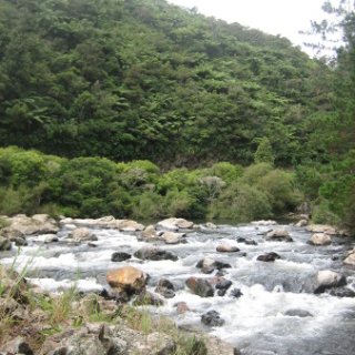 2018-NZ-travel-995
