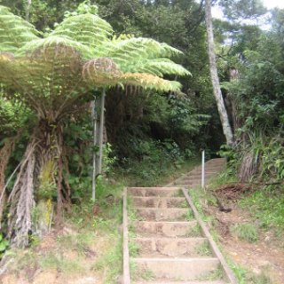 2018-NZ-travel-1000