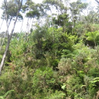 2018-NZ-travel-1004