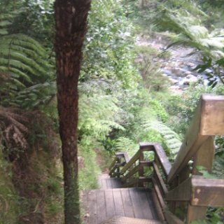 2018-NZ-travel-1022