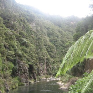 2018-NZ-travel-1028