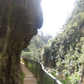 2018-NZ-travel-1030